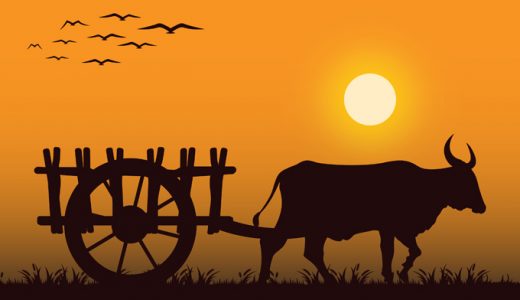 牛肉食や黒毛和牛の歴史って？ある一頭の但馬牛が絶滅の危機を救った物語も！